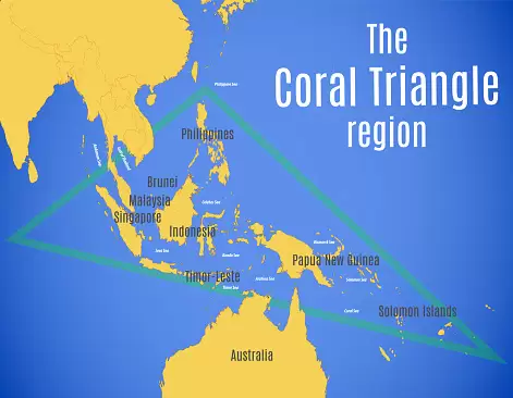 Острова в «Коралловом треугольнике» будут проданы