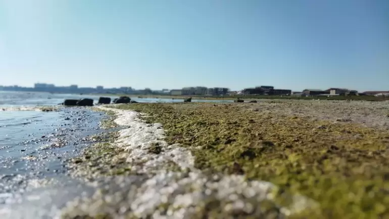 Мусор и болото. Как власти планируют решить проблему с загрязнением пляжа на побережье в Актау