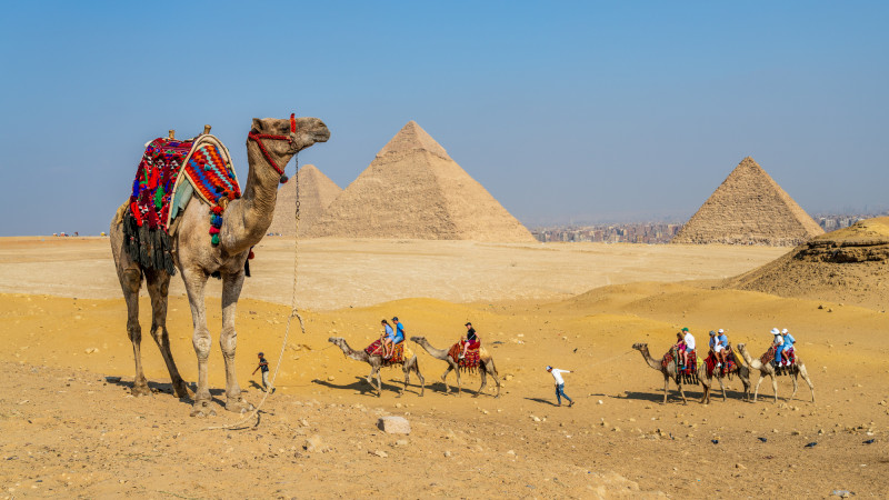 Египет исключён из списка стран с ограничениями для казахстанцев